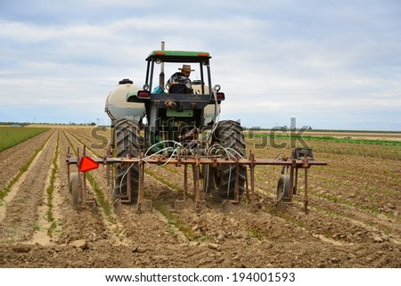 KERN COUNTY, CA-MAY 20, 2014: Central California farm worker, Jesus Urrell, applies chemical fertilizer to a field of commercially-grown roses.