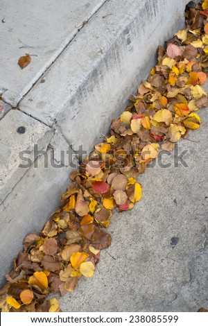 Autumn leaves accumulate in an urban curb and gutter.