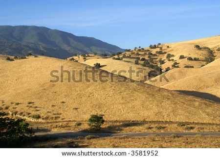 The foothills west of the mountain town of Tehachapi, California, are know as \