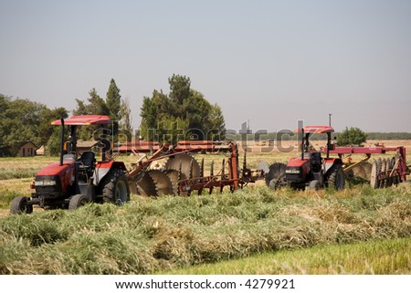 A California farm tractor pulls a hay rake making rows of bhutan grass for cattle feed