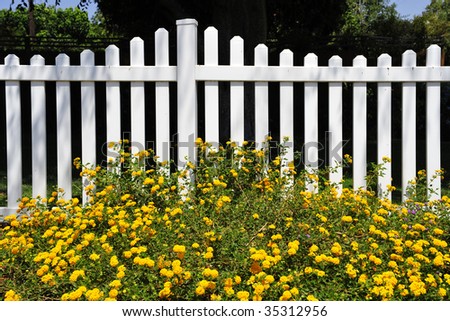 Residential white picket fence with yellow flower accents