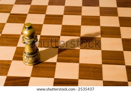 Bishop chess piece (with shadow) on a fine, wooden chess board with a dark and a light stain