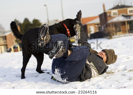 Man is playing with his black labrador dog
