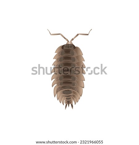 Life-Like Pill bugs, Armadillidiidae Insect, Bug