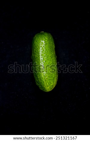 little green cucumber on black fresh local organic artisanal farm grown produce jeffersonville, georgia