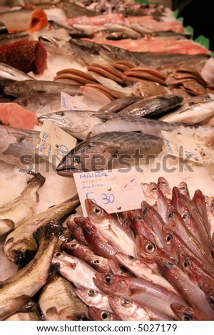 Fish and Seafood at a Market Stand