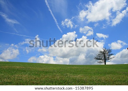 Country Landscape at Summer Time