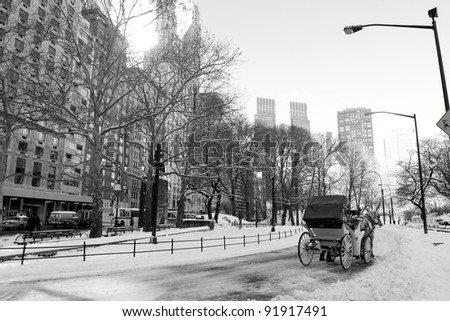 Winter Snow in Central Park, Manhattan, New York City