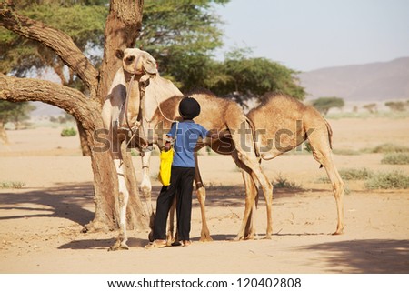 SUDAN - JANUARY 10: Sudanese boy leads camels in rural area near Nubian pyramids on January 10, 2010. Sudan remains one of the least developed countries in the world.