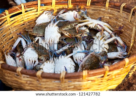 crabs in fish market