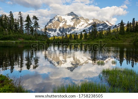 Shutterstock Puzzlepix