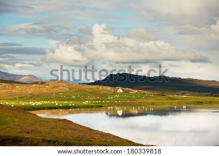 Iceland landscapes in summer season