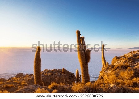 Similar – Image, Stock Photo Salar de Uyuni, Bolivia, South America, group of tourists with trucks