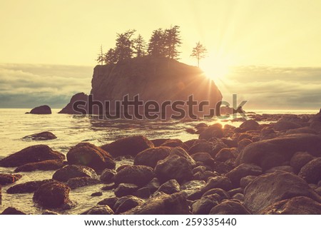 Ocean coast in Olympic National Park, Washington