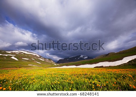 mountains meadow