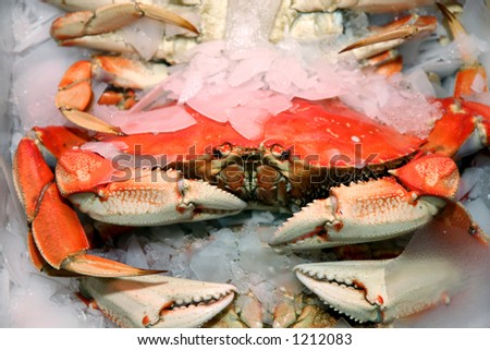 Crab at a market