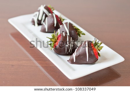 Row of five chocolate covered strawberries focus on the one facing the other way with a shallow depth of field