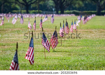 rows of flags on each grave of a Veterans Cemetery in Florida for Veterans day