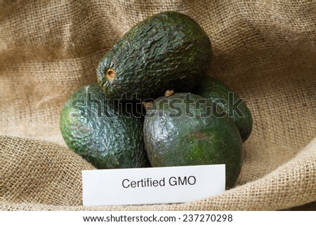 food labeling concept with fresh avocados and a GMO label