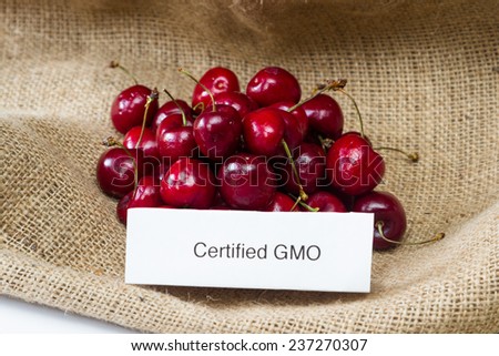 food labeling concept with bright red cherries and a GMO label