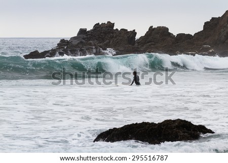 Pfeiffer Beach, California - May 01 : Male surfer in a full suit surfing on the cold waves of the California coast, May 01 2015 Pfeiffer beach, California.