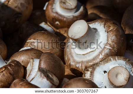 close up of fresh mushrooms for sale at the local farmers market in Calistoga, California.