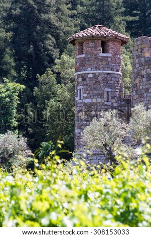 beautiful castle in California built as the center piece and winery of a vineyard in Napa Valley
