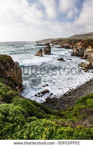beautiful scene of the California coast with its classic dramatic coastline lined with rocks and cliffs and spring green plants in the foreground