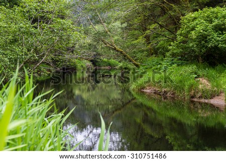 Tranquil river flowing in Oregon with a vivid green color in spring