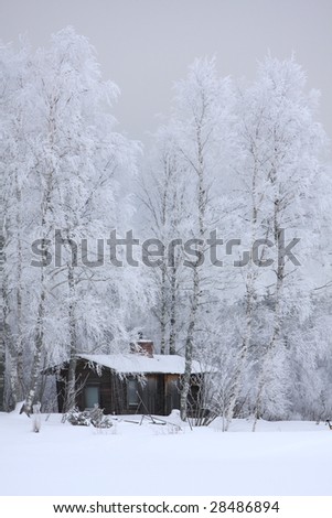 Wooden house in winter in a forest scenery, Finland