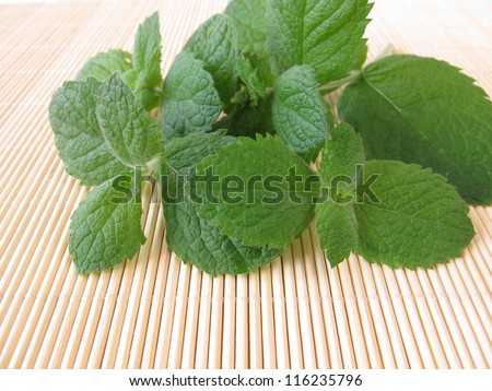 Bunch of pineapple mint