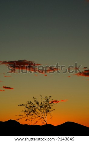 A silhouetted tree on a hill at sunset. Lots of negative space.