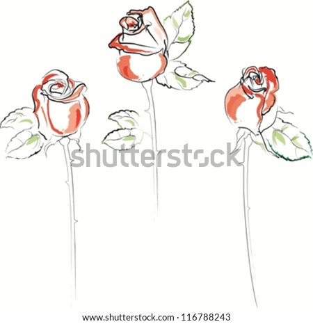 Red Roses Long Stem Vector Watercolor Sketch - 116788243 : Shutterstock
