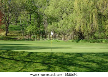 Hole on green golf course with willow tree