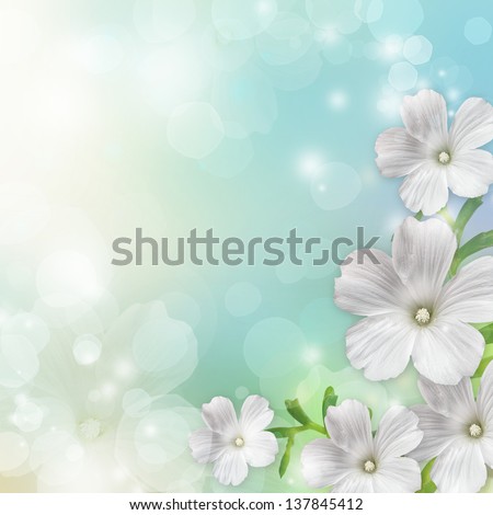 Abstract floral border of  white flowers. Spring blossom background