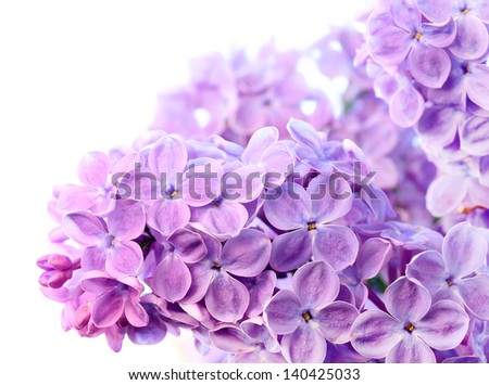 Beautiful spring background with lilac bouquet