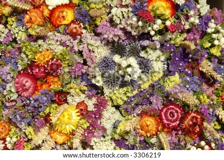 sea of coloured dried flowers and blossom