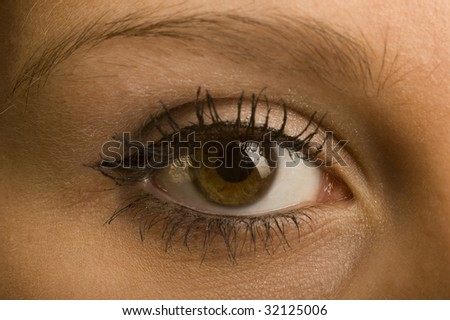 one female open brown eye with make-up