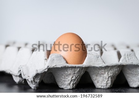 egg alone in paper tray