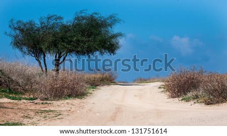 A dirt road passes through a sandy, desert wash