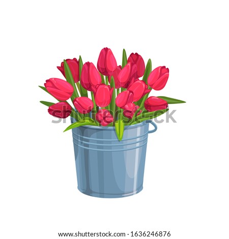 Red tulips. Garden flowers in a metal bucket. Vector illustration.