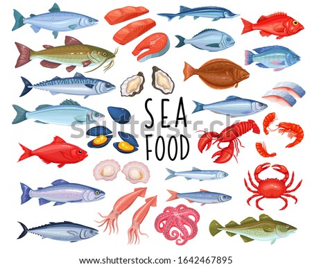 Seafood and fish icons. Lobster, squid, octopus, mussel, fish salmon, shrimp and scallop. Tuna, sterlet and halibut. Vector seafood of mollusk, oyster, sardine, anchovy, sea bass and herring.