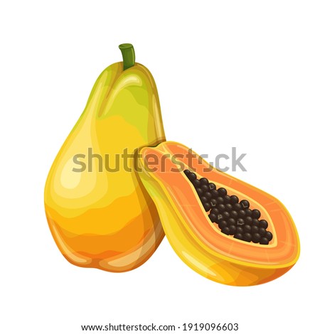 Papaya fruit vector illustration in cartoon style. Healthy nutrition, organic food, vegetarian product. Stockfoto © 