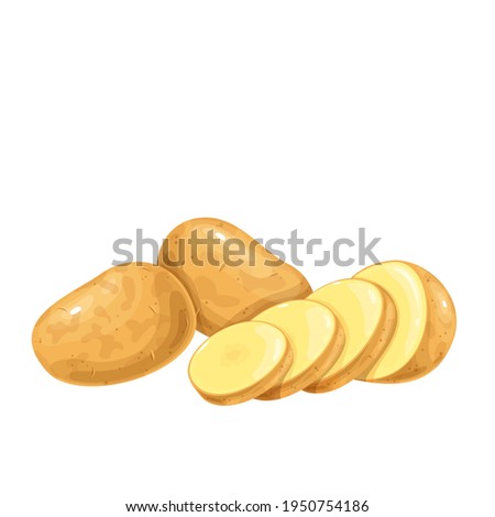 Potatoes vector illustration. Raw potato whole root crops and sliced pieces.