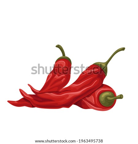 Dried Mexican Peppers icon. Dried Numex Espanola Improved chile peppers vector icon.