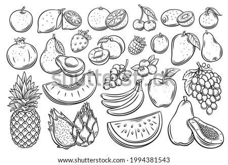 Fruits and berries outline vector icons set. Drawn monochrome raspberry, avocado, grape, peach, whole, half, cherry, mango, slice of watermelon. tangerine, lemon, apricot and ets