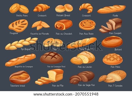 French bread bakery product set, colored vector illustration. Tabatiere, epi baguette, bagel and slices breads. Bake roll, pastry, pain au levain, petits pains and ets.
