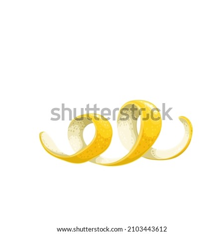 Lemon peel spiral. Vector illustration of twist yellow lemon skin.