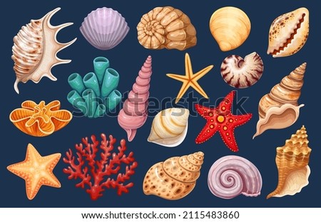 Seashells set. Various mollusk seashells different forms, starfish and coral. Underwater flora, sea plants vector illustration. 商業照片 © 