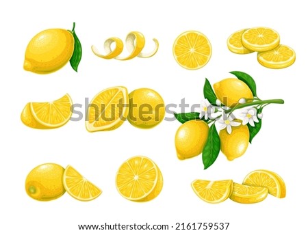 Similar – Image, Stock Photo Bunch of lemons on ground under tree